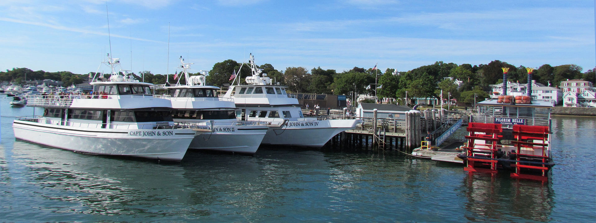 Whale Watching in Plymouth and Provincetown Captain John Boats