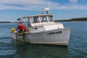 Lobster fishing
