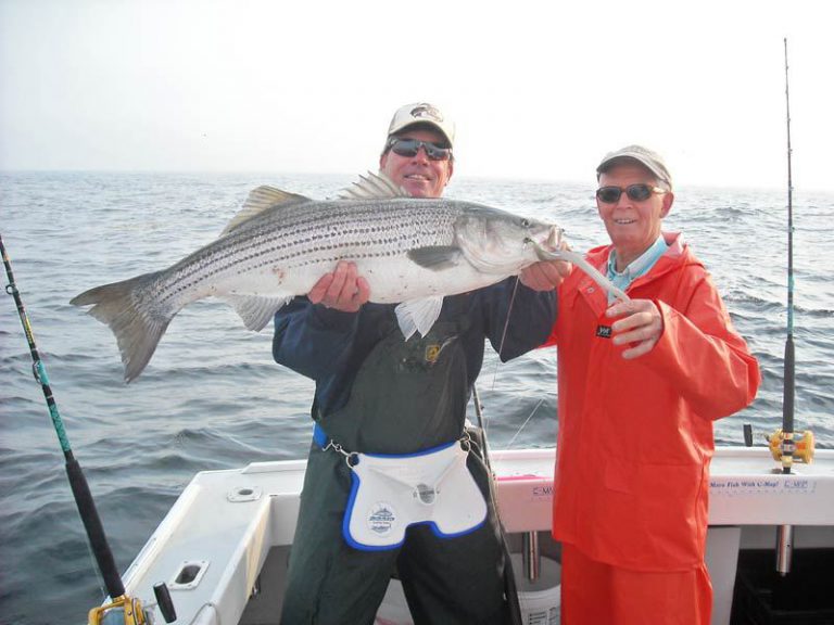 Boston Striper Fishing Cape Cod Bay Elizabeth Marie Sportfishing