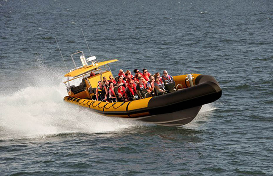 Art's Dune and Speed Boat Tour