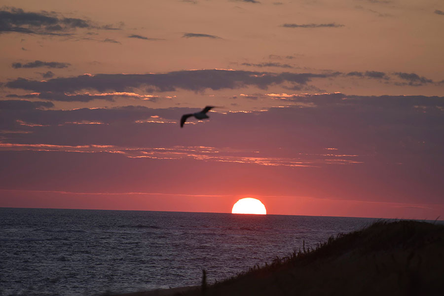 Arts Sunrise Dune Tour